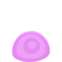 snail_shell
