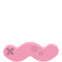 wormPink_dead
