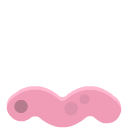 wormPink_move