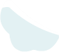 wing_left