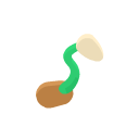 seed