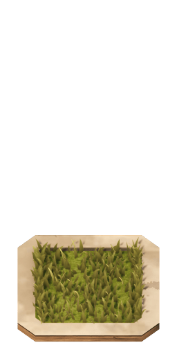 square_grass_flat_W