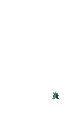 naturePack_flat_001_1