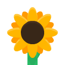 tile_flowerSun