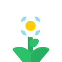 tile_flowerWhite