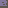 tile_0195