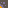 tile_0005