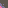 tile_0012