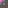 tile_0042