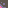 tile_0043