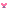 tile_0087