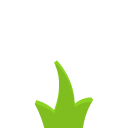 grass