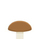 mushroom_brown